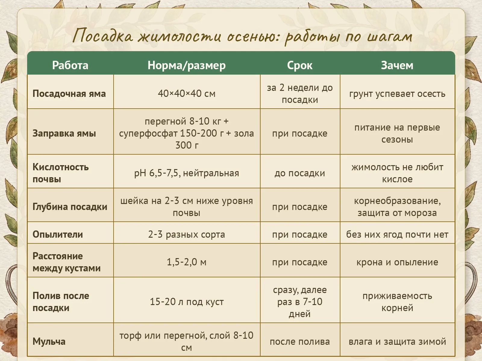 Таблица