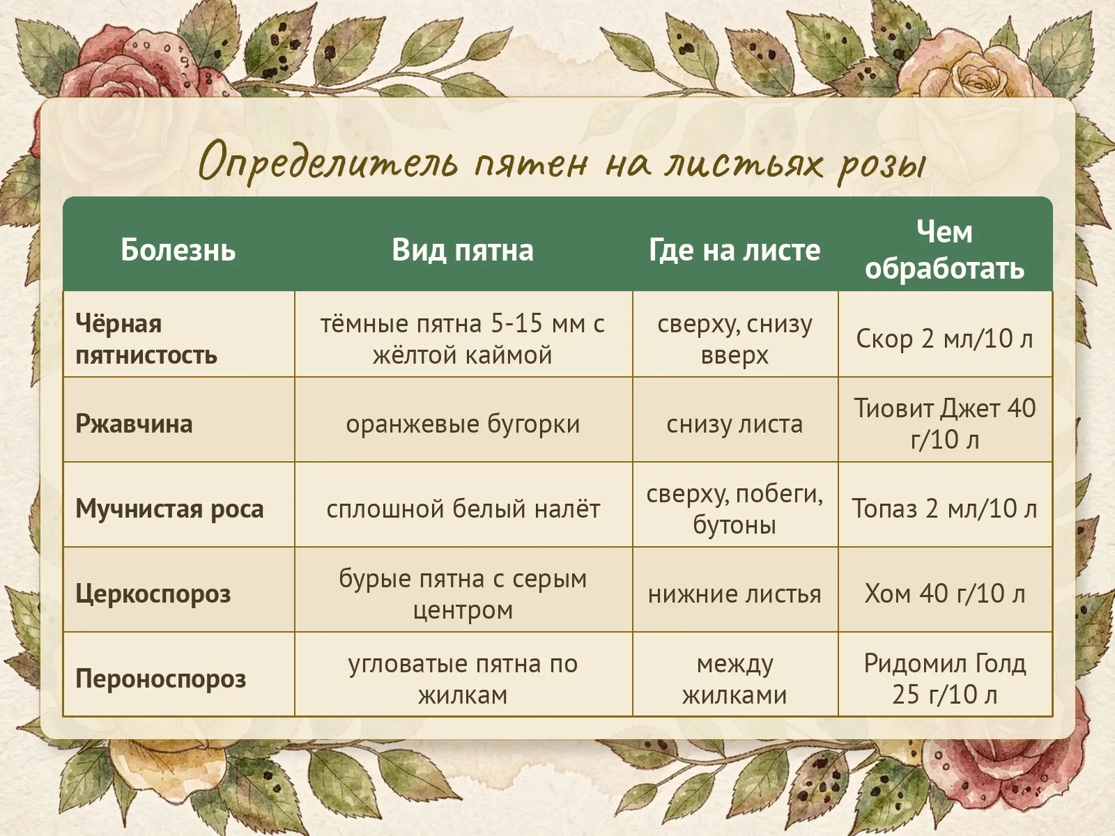 Таблица