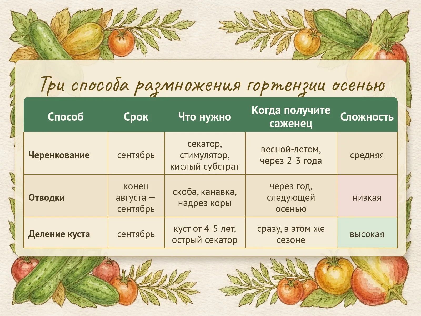 Таблица