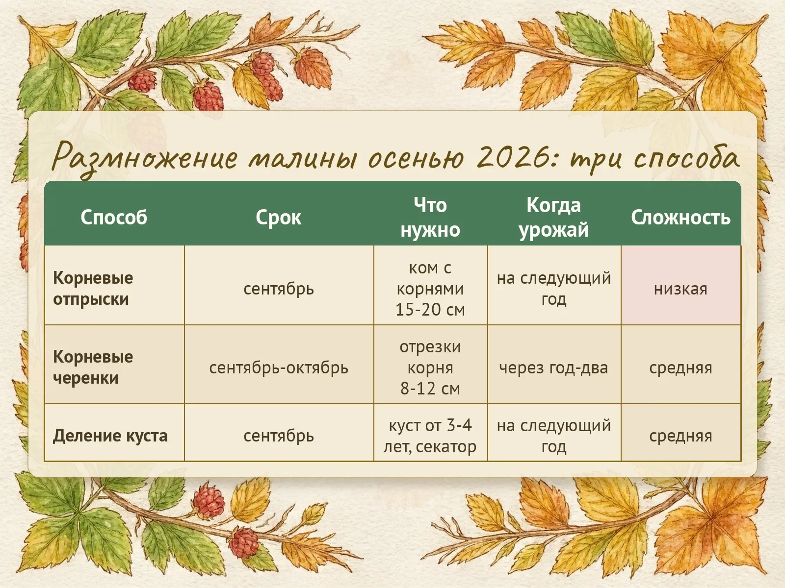 Таблица
