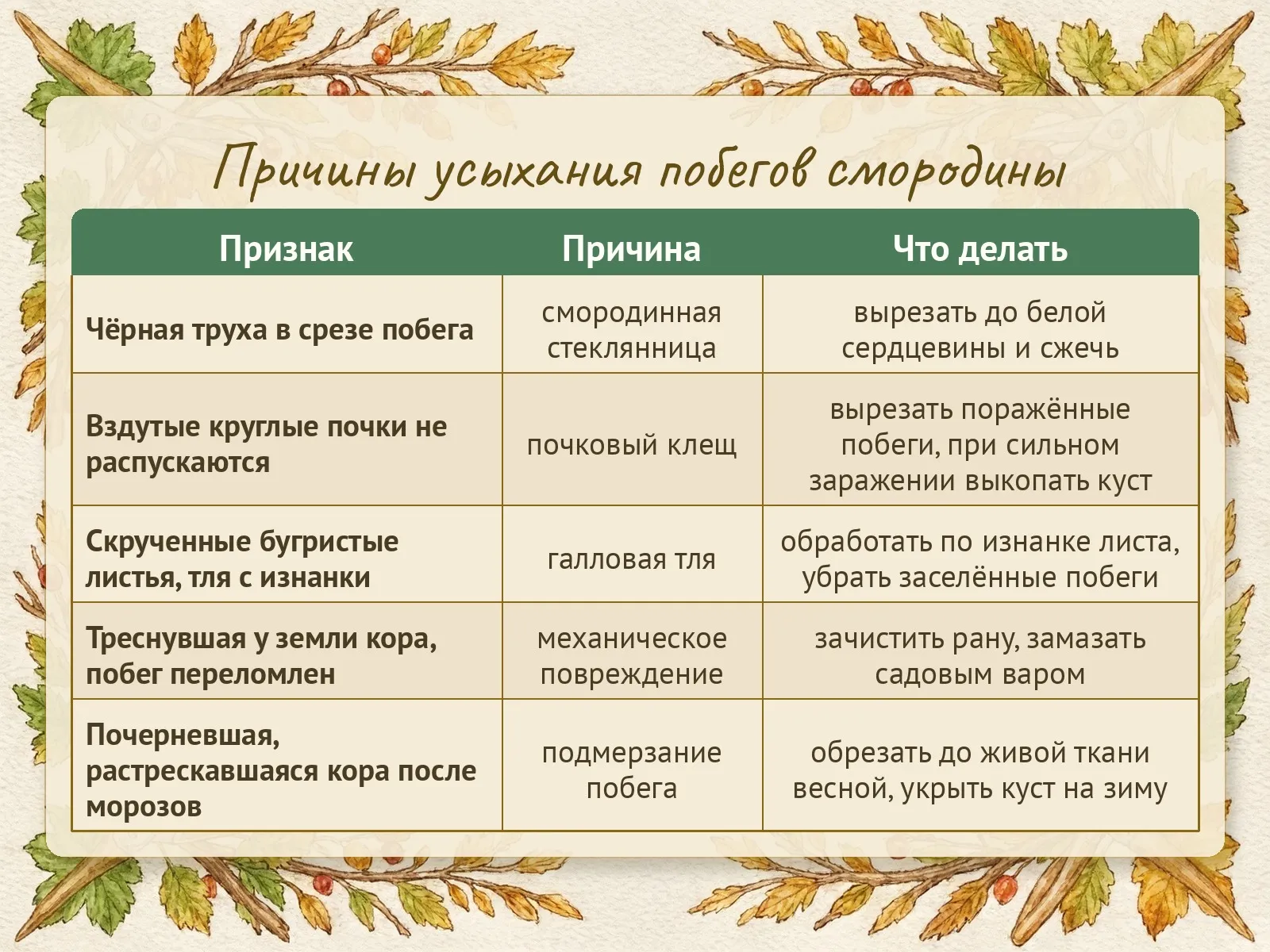 Таблица