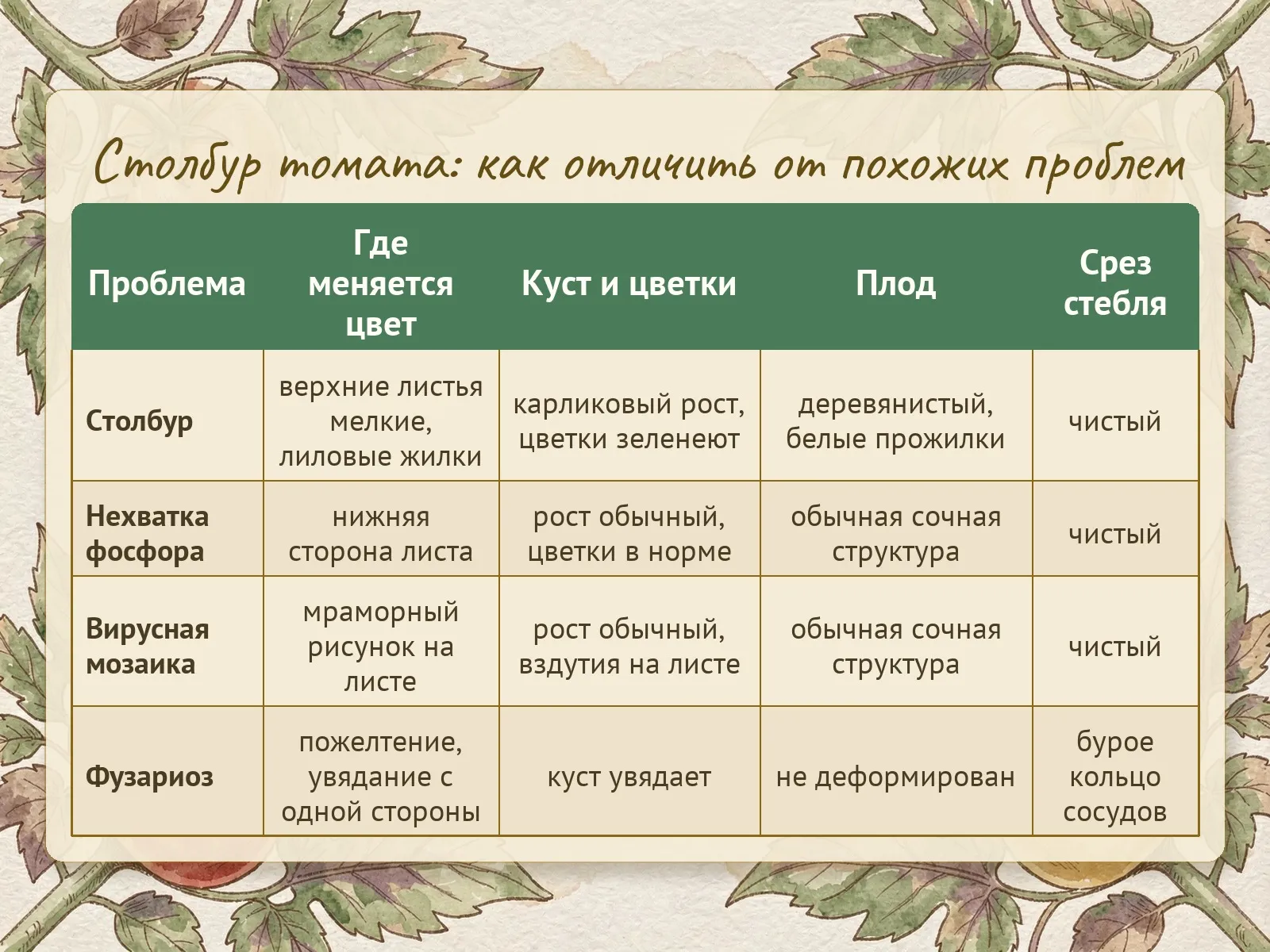 Таблица